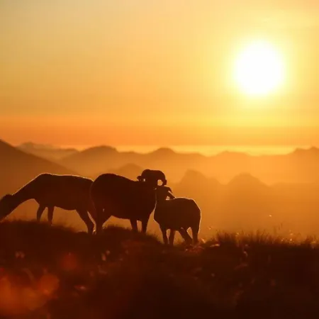 Apartment A Avec Balcon, Parking Couvert Et Proche Telecabine - Fr-1-401-24