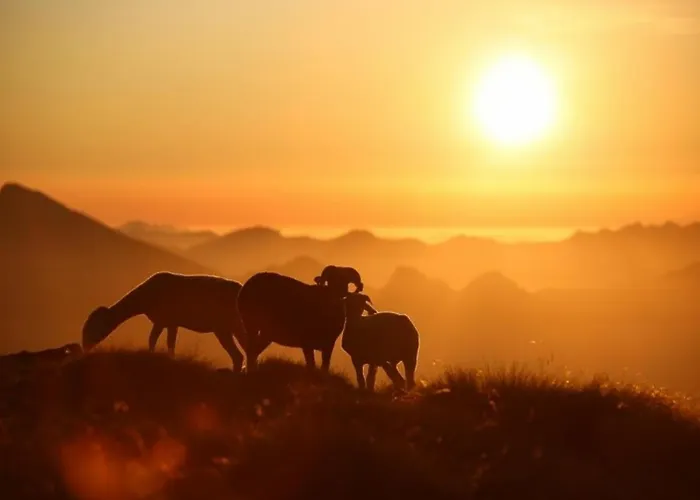 Appartement A Avec Balcon, Parking Couvert Et Proche Telecabine - Fr-1-401-24